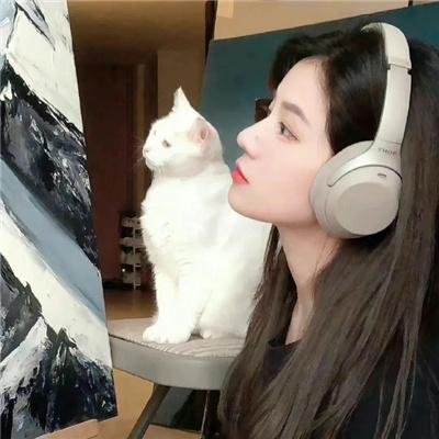 举起手来！