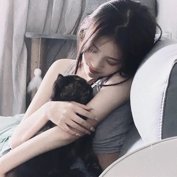 公猫
